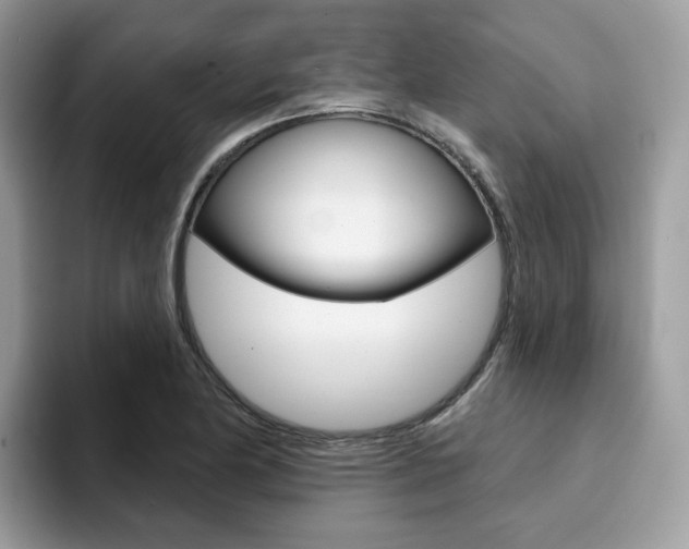 X0000094941174200711291015