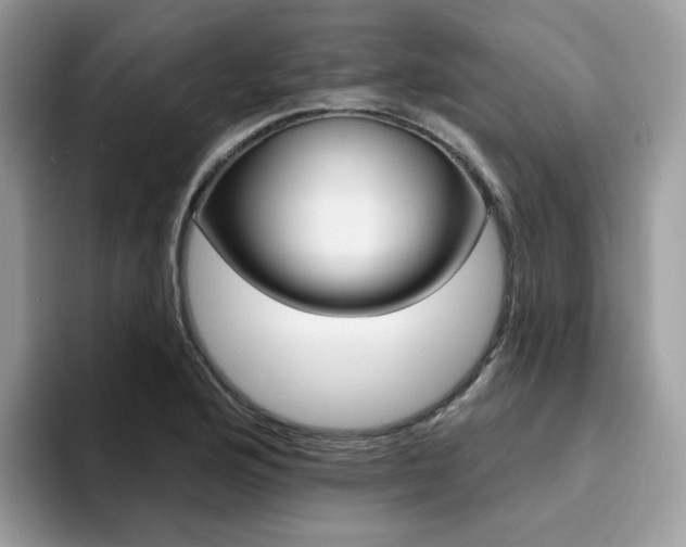 X0000094941176200711291015