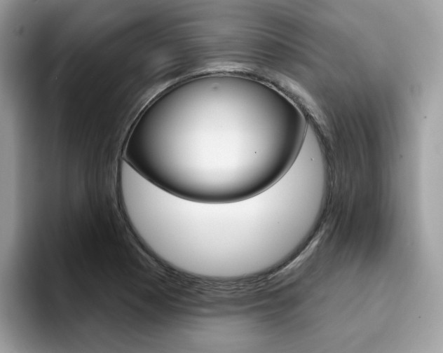 X0000094941177200711291015