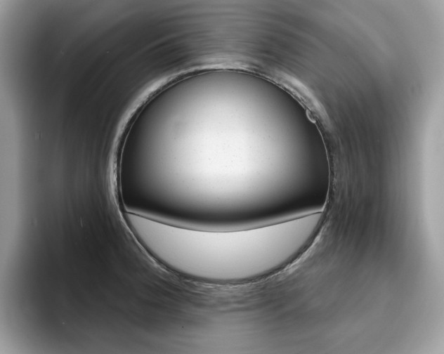 X0000094941188200711291015