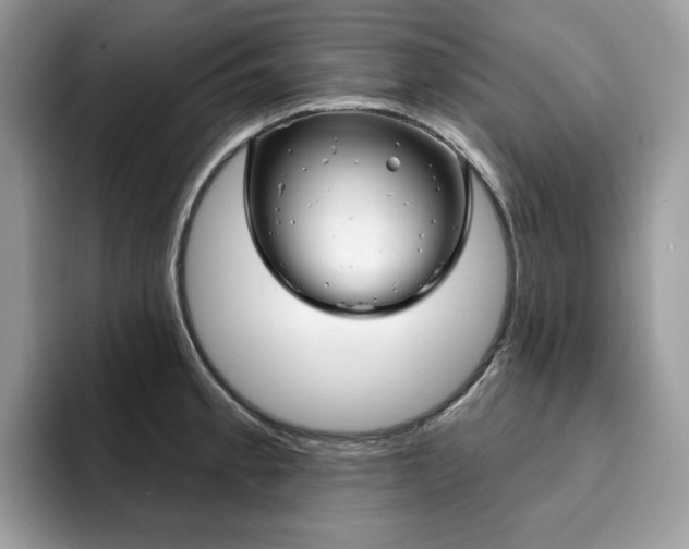 X0000094941189200711291015