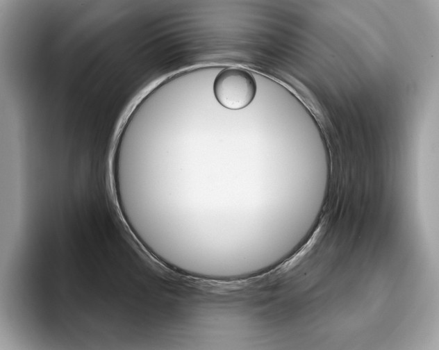 X0000094941196200711291015