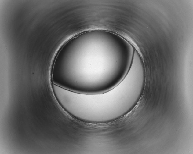 X0000094941197200711291015