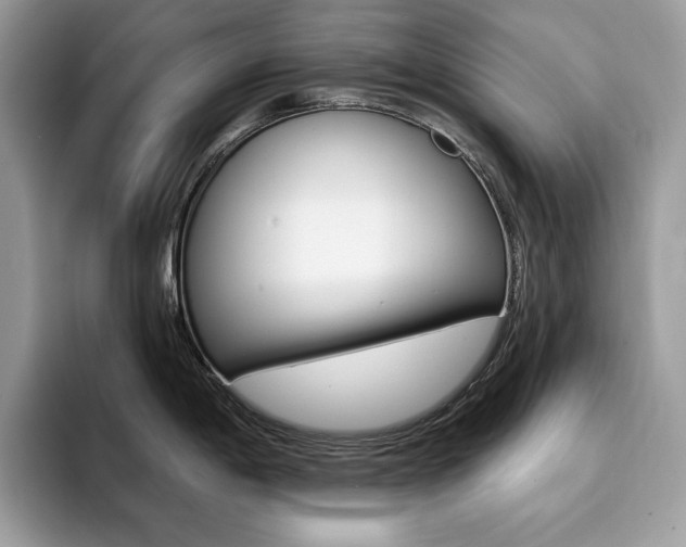 X0000094941198200711291015
