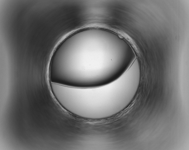 X0000094941199200711291015