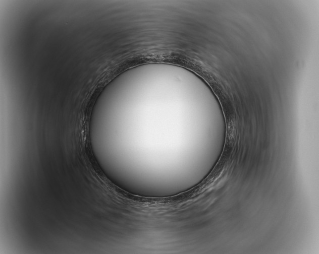 X0000094941202200711291014