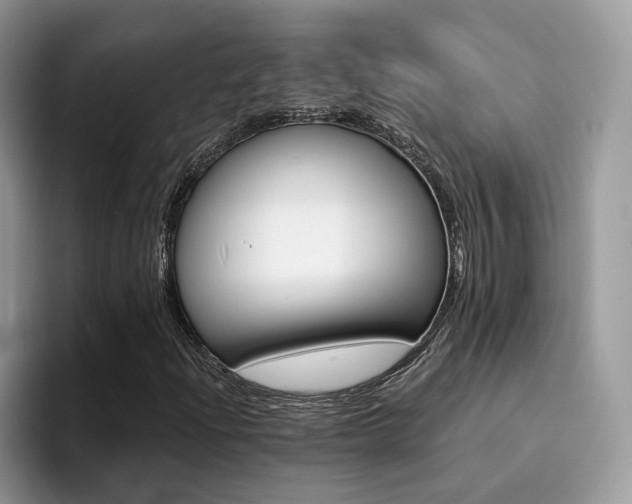 X0000094941204200711291014