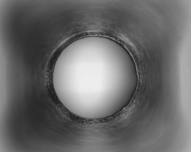 X0000094941208200711291014