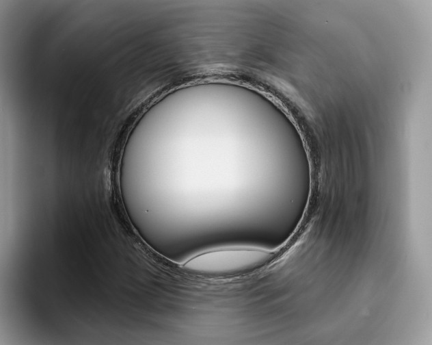 X0000094941209200711291014