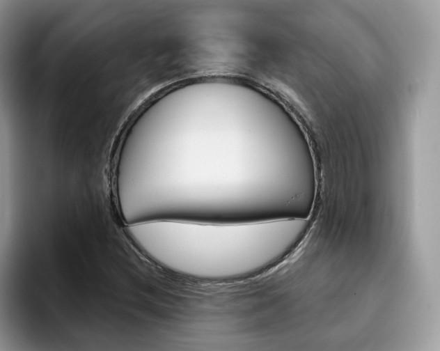 X0000094941212200711291014