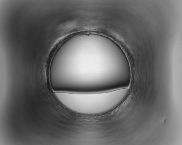 X0000094941214200711291014