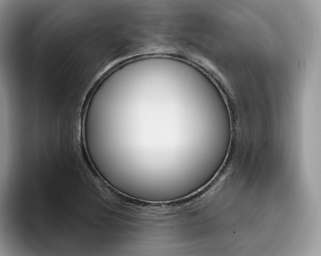 X0000094941220200711291014