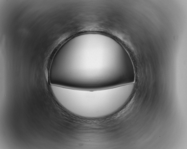 X0000094941221200711291014