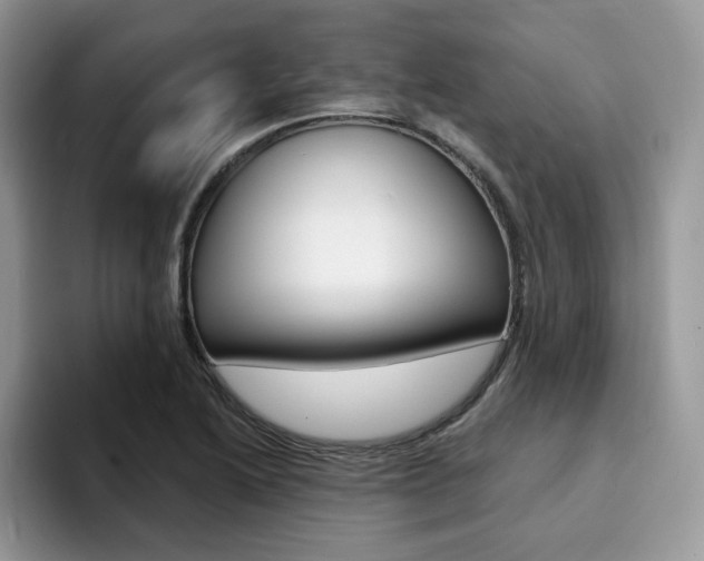 X0000094941222200711291014