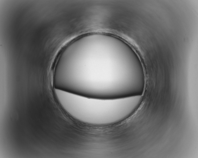 X0000094941223200711291014