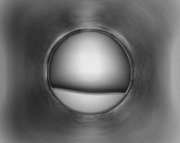 X0000094941224200711291014