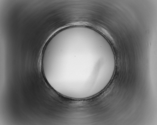 X0000094941228200711291014