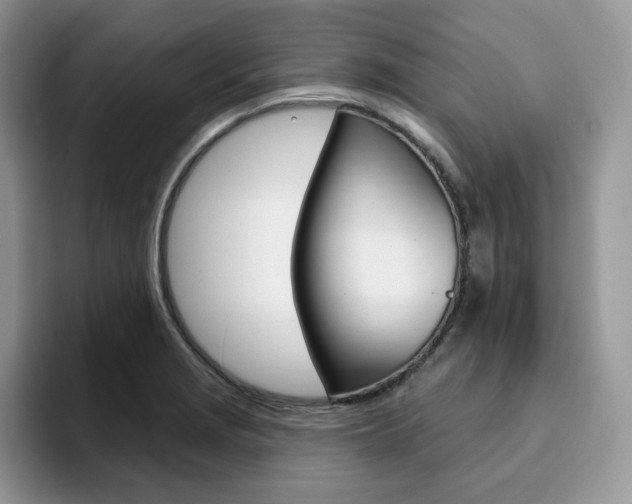X0000094941229200711291014