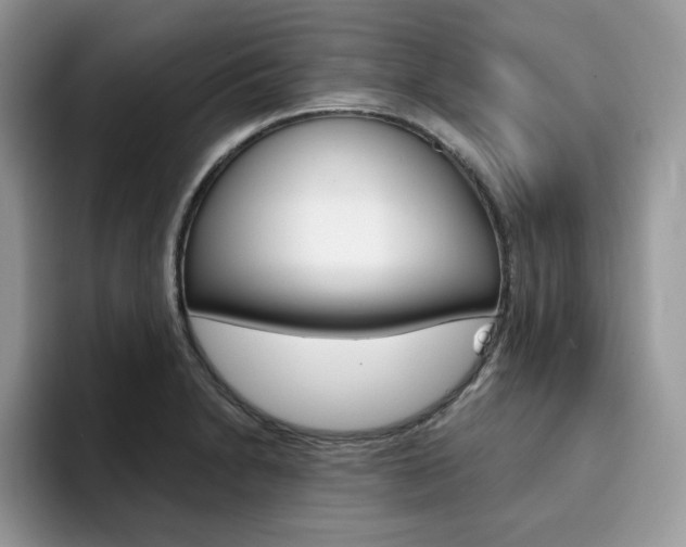X0000094941230200711291014