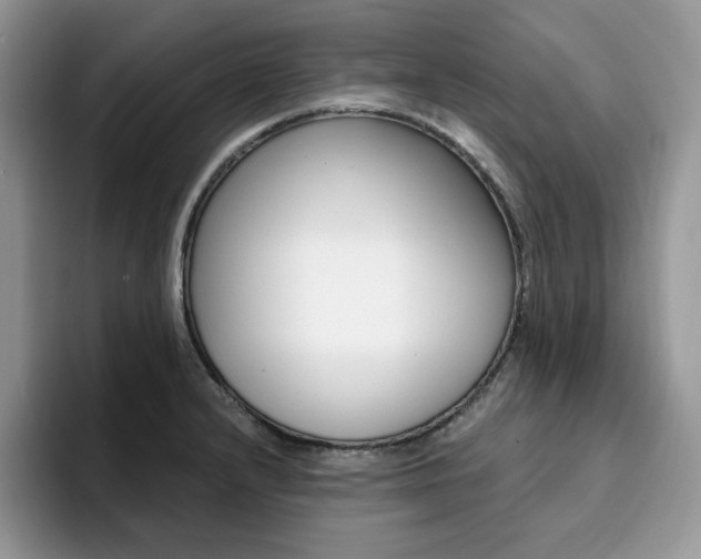 X0000094941232200711291014