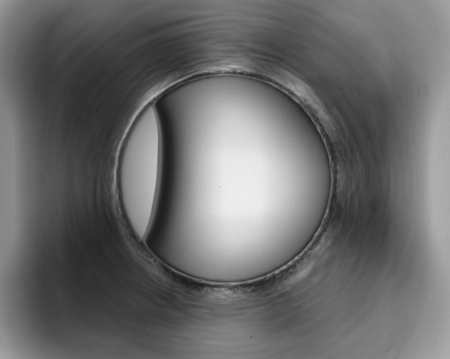 X0000094941234200711291014