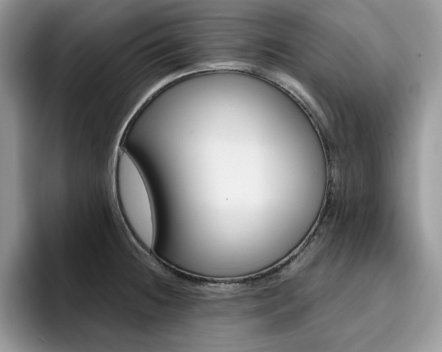 X0000094941236200711291014