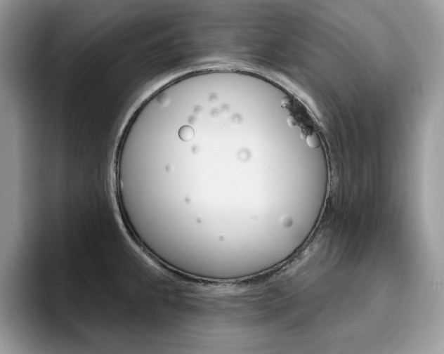 X0000094941239200711291015