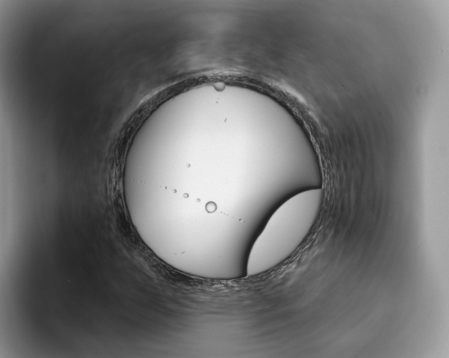 X0000094941255200711291014