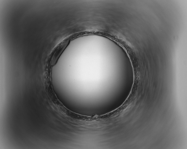 X0000094941256200711291014