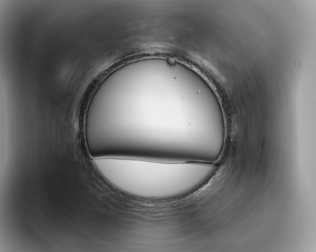 X0000094941261200711291014