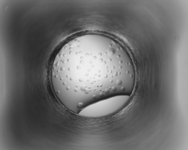X0000094941263200711291014