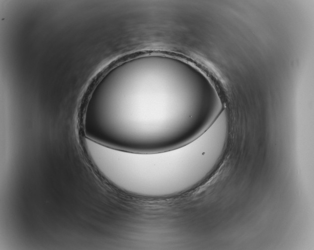 X0000094941264200711291014