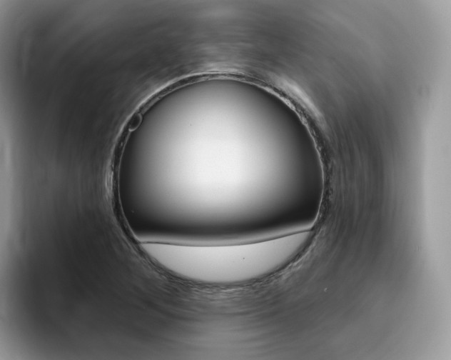 X0000094941268200711291014