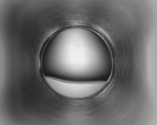 X0000094941269200711291014