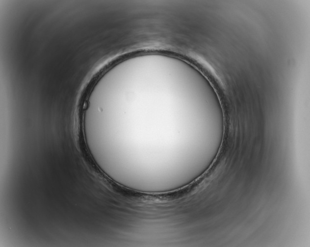 X0000094941270200711291014