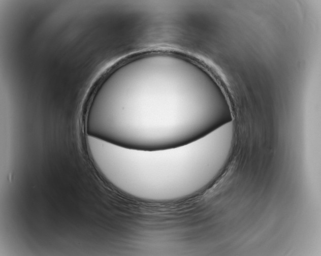 X0000094941271200711291014
