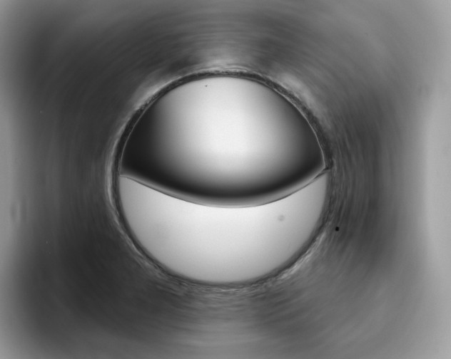 X0000094941277200711291014