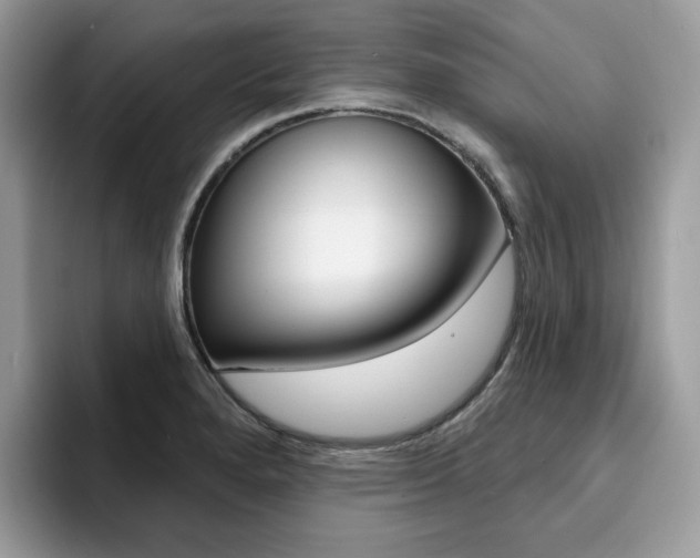 X0000094941280200711291014