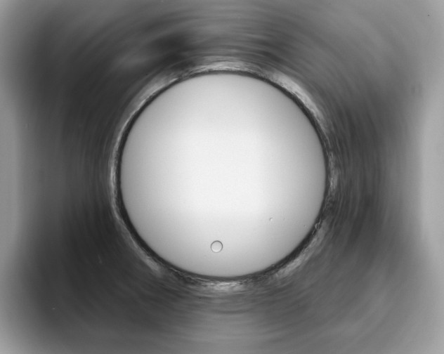 X0000094941282200711291014