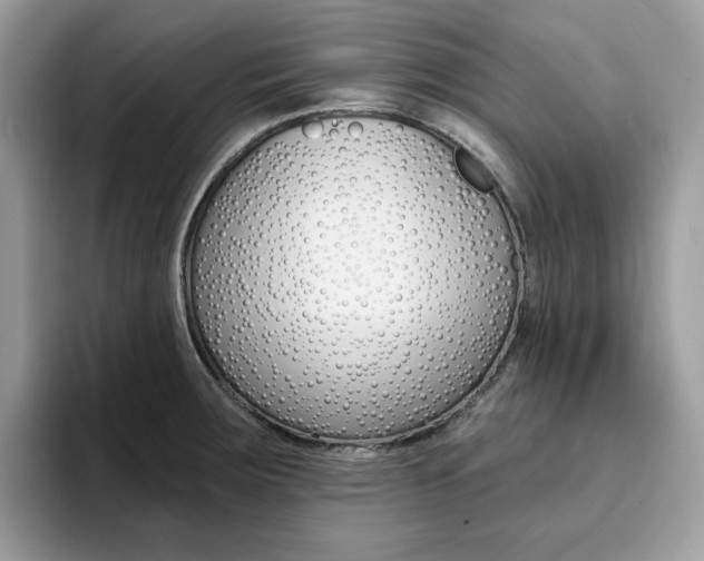 X0000094941283200711291014