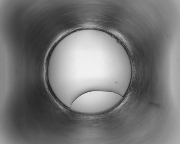 X0000094941286200711291014
