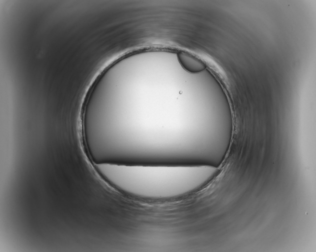 X0000094941287200711291014