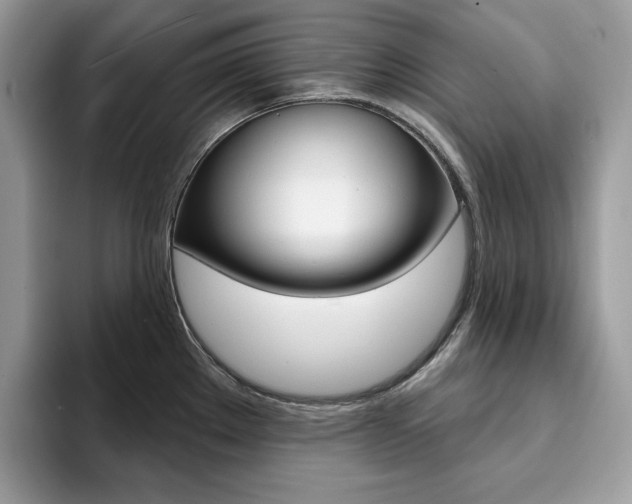 X0000094941289200711291014