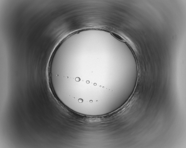 X0000094941291200711291013