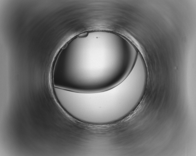X0000094941293200711291013
