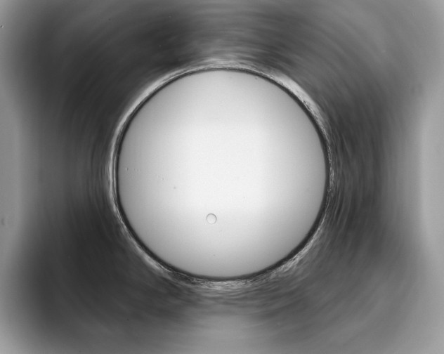 X0000094941294200711291013