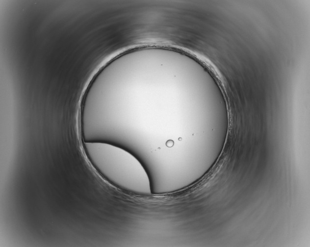 X0000094941295200711291013
