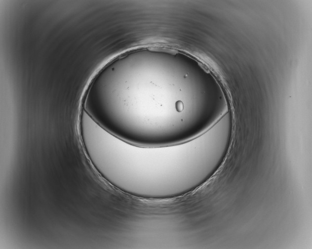 X0000094941296200711291013