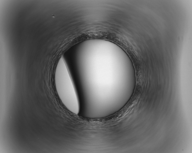 X0000094941297200711291013