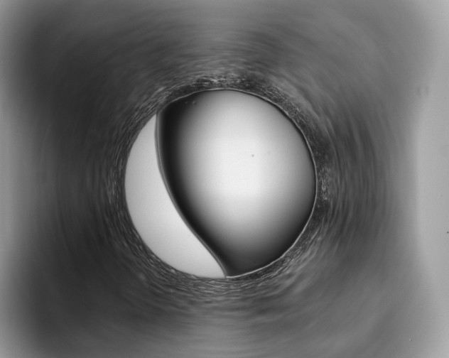 X0000094941298200711291013